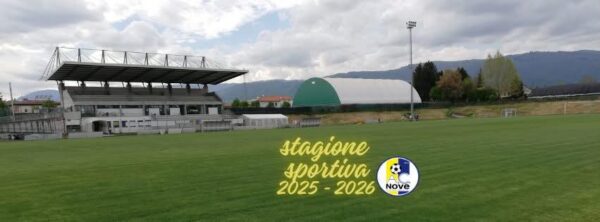 A.C. Nove Stefani Consulting